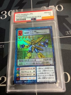 画像1: 【PSA5】マグナモン【実物写真】