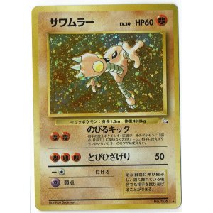 ポケモンカード Enndal Games2 Page 227