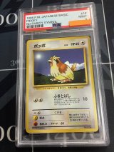 画像: 【PSA9】ポッポ 初版 レアリティシンボルなし 第1弾  旧裏【実物写真】