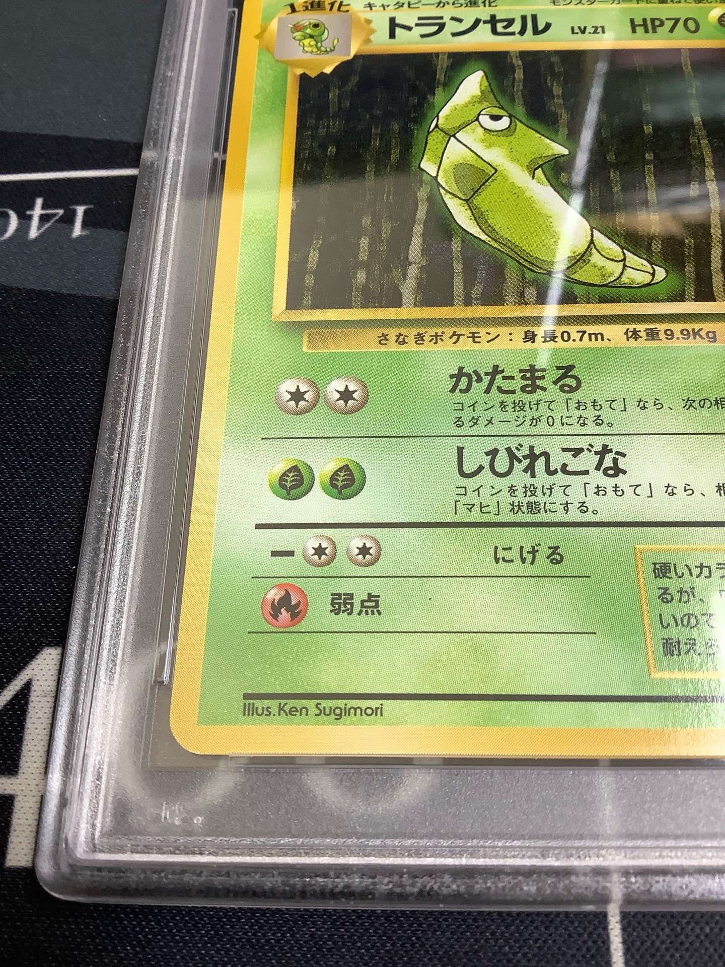 トランセル 初版 旧裏 psa PSA 9 | hartwellspremium.com